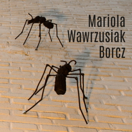 Mariola Wawrzusiak-Borcz - wystawa rzeźby